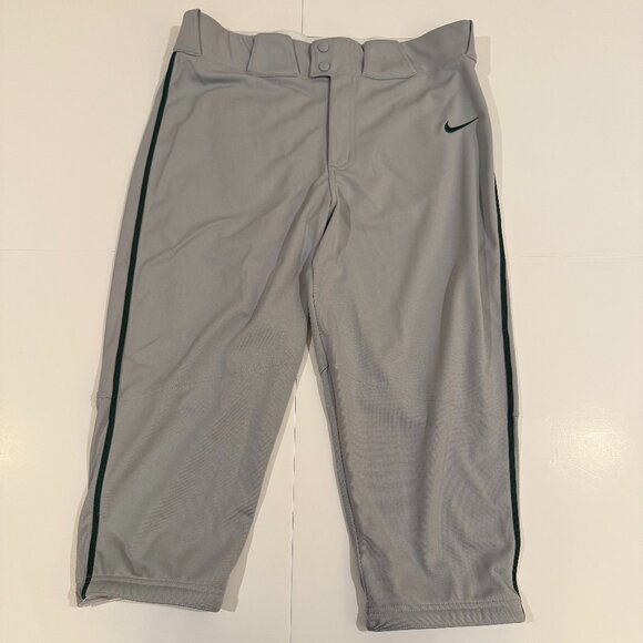 Nike Vapor Select Men's High Baseball Pants Large NWT BQ9021-059 - Picture 1 of 11